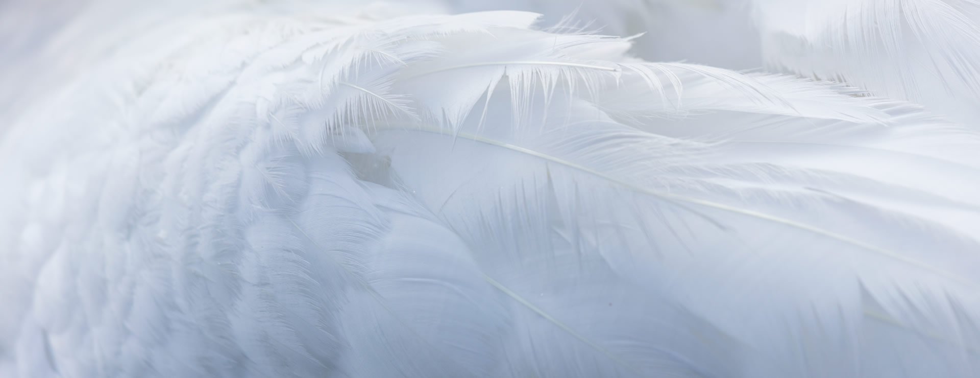 企業經營之本，力求言行一致。